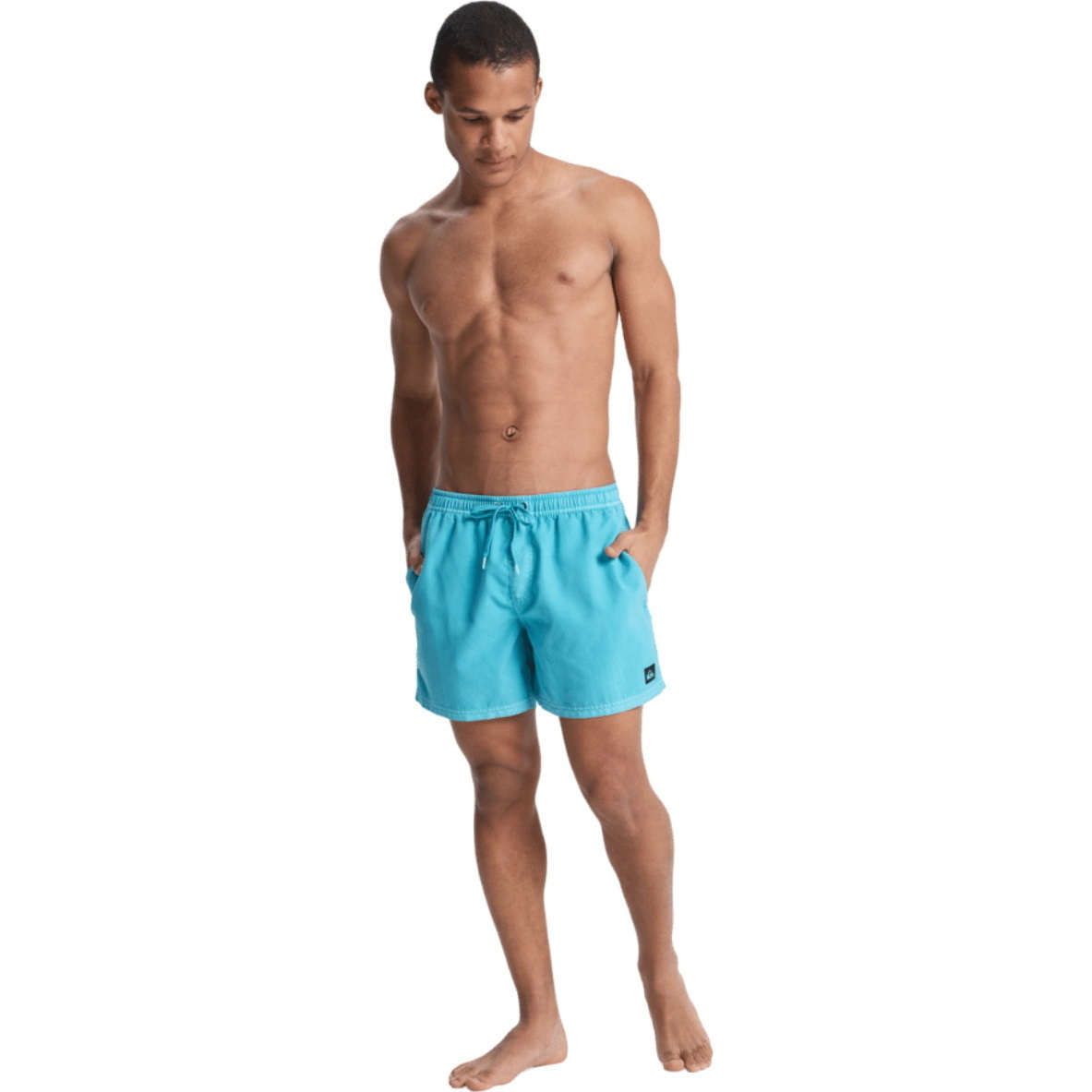 2026 Quiksilver Mens Everyday Surfwash Volley 15